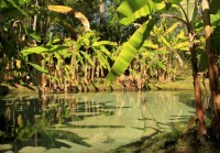 /album/galeria%20de%20fotos%3a%20jalap%c3%a3o/expedicao-jalapao-f-013-jpg/